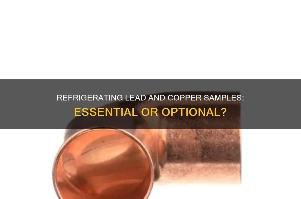 do lead and copper samples have to be refrigerated