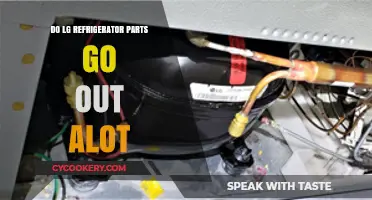 Are LG Refrigerator Parts Prone to Frequent Failures?