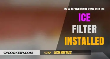 Do LG Refrigerators Include Ice Filters as a Standard Feature?