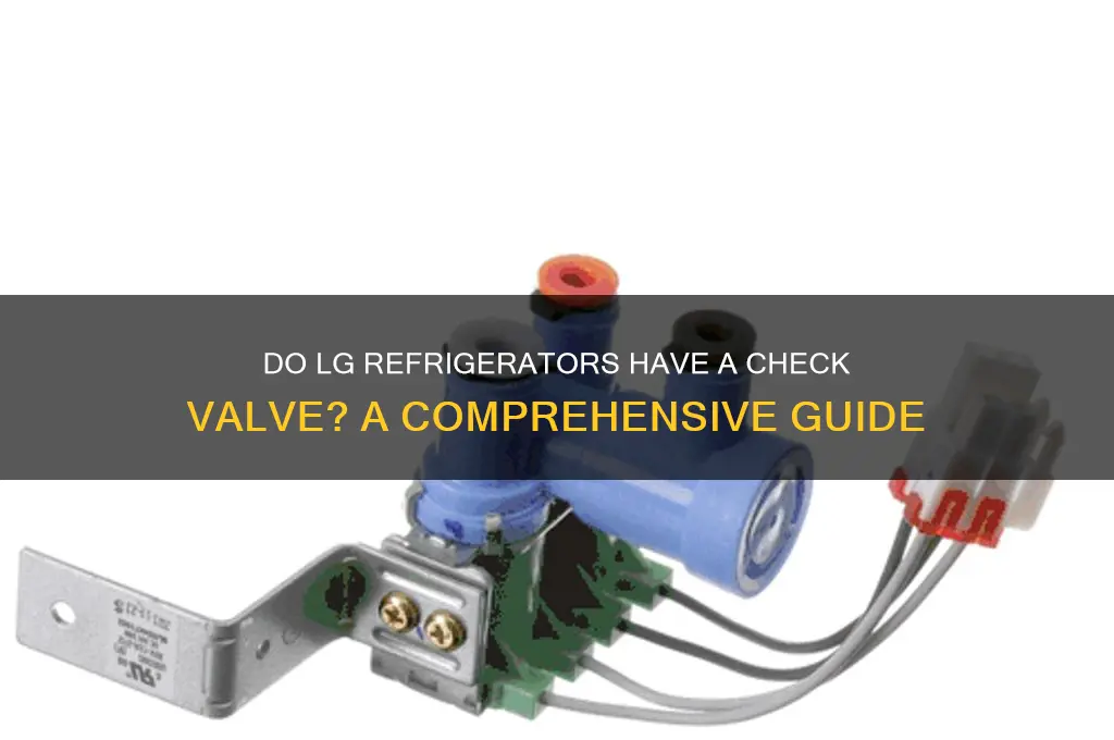 do lg refrigerators have a check valve