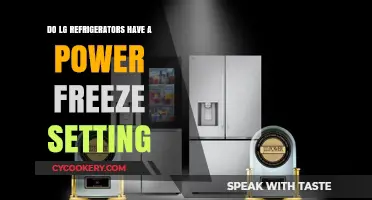Power Freeze Feature: Do LG Refrigerators Offer This Setting?
