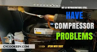 LG Refrigerator Compressor Issues: Are They Still a Concern?