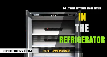Should You Store Lithium Batteries in the Refrigerator? Facts Revealed