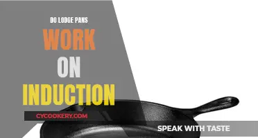 Lodge Pans: Induction-Ready?