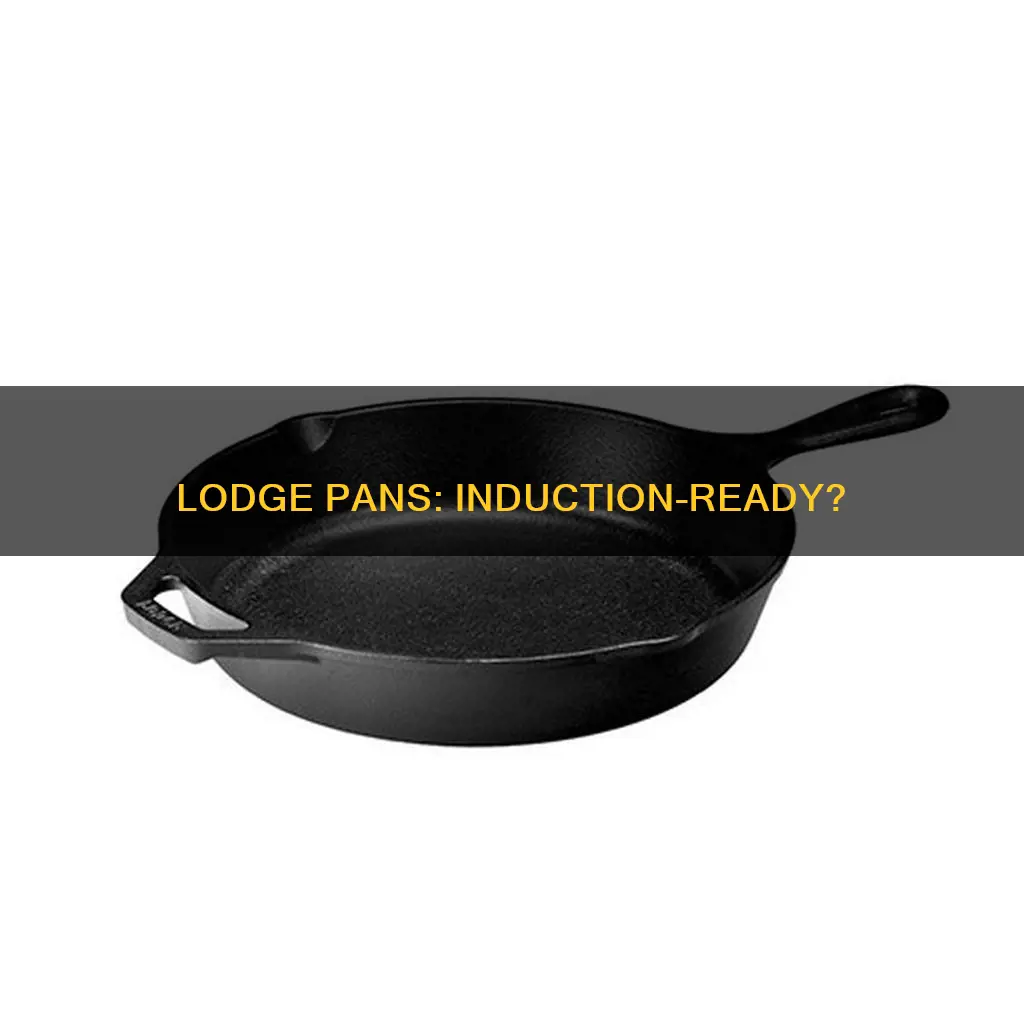 do lodge pans work on induction