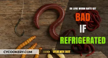 Refrigerating Love Worm Baits: Does It Spoil Their Effectiveness?