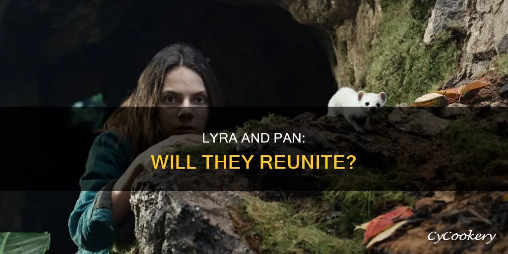 do lyra and pan get reunited