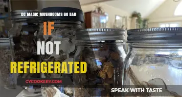Magic Mushrooms Shelf Life: Do They Need Refrigeration to Stay Fresh?