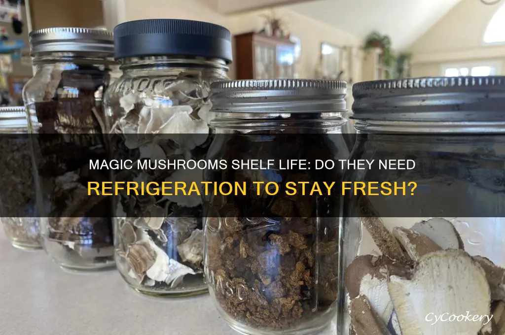 do magic mushrooms go bad if not refrigerated