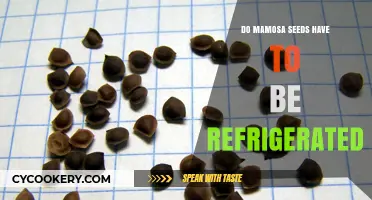 Should Mamosa Seeds Be Refrigerated? Storage Tips for Optimal Germination