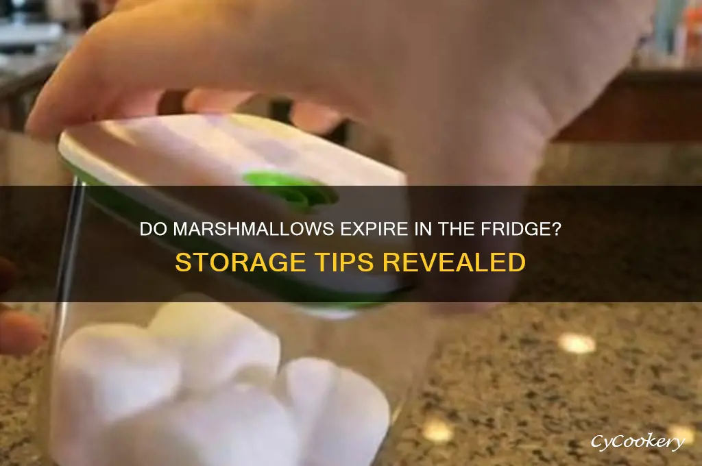 do marshmallows go bad in the refrigerator
