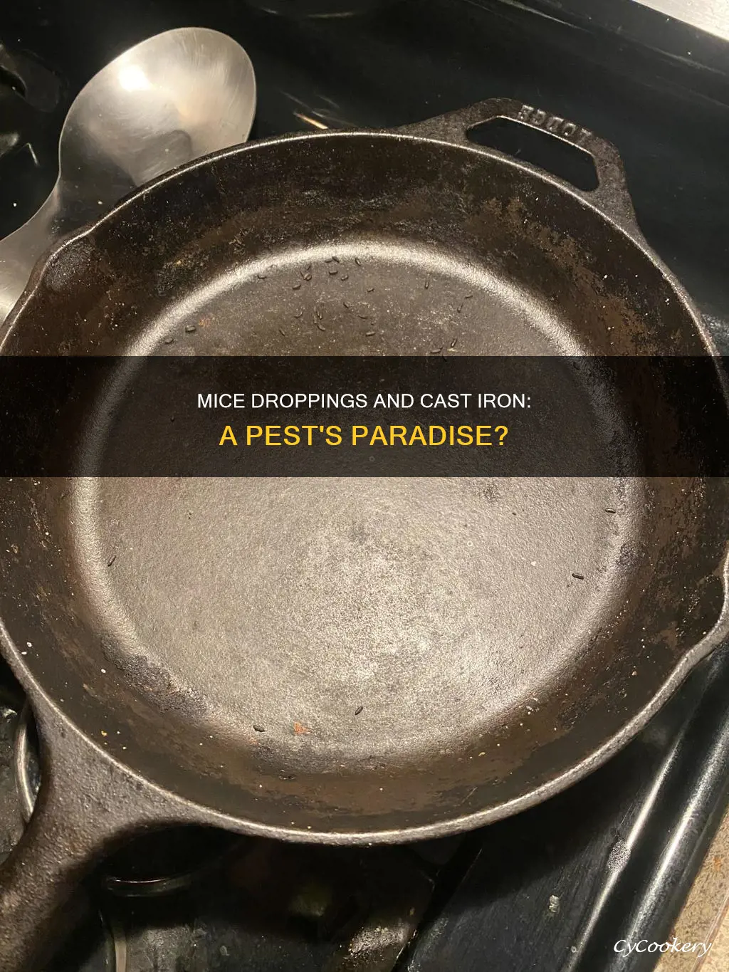 do mice leave droppings in cast iron pan