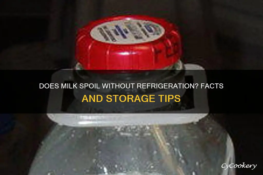 do milk get spoiled if not refrigerated