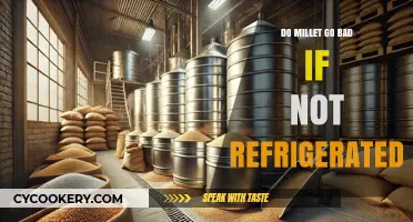 Millet Storage Tips: Do They Spoil Without Refrigeration?
