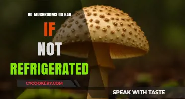 Do Mushrooms Spoil Without Refrigeration? Storage Tips and Shelf Life
