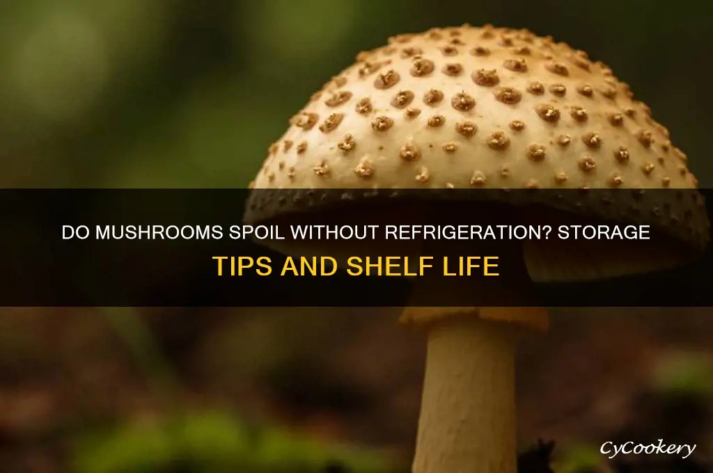 do mushrooms go bad if not refrigerated