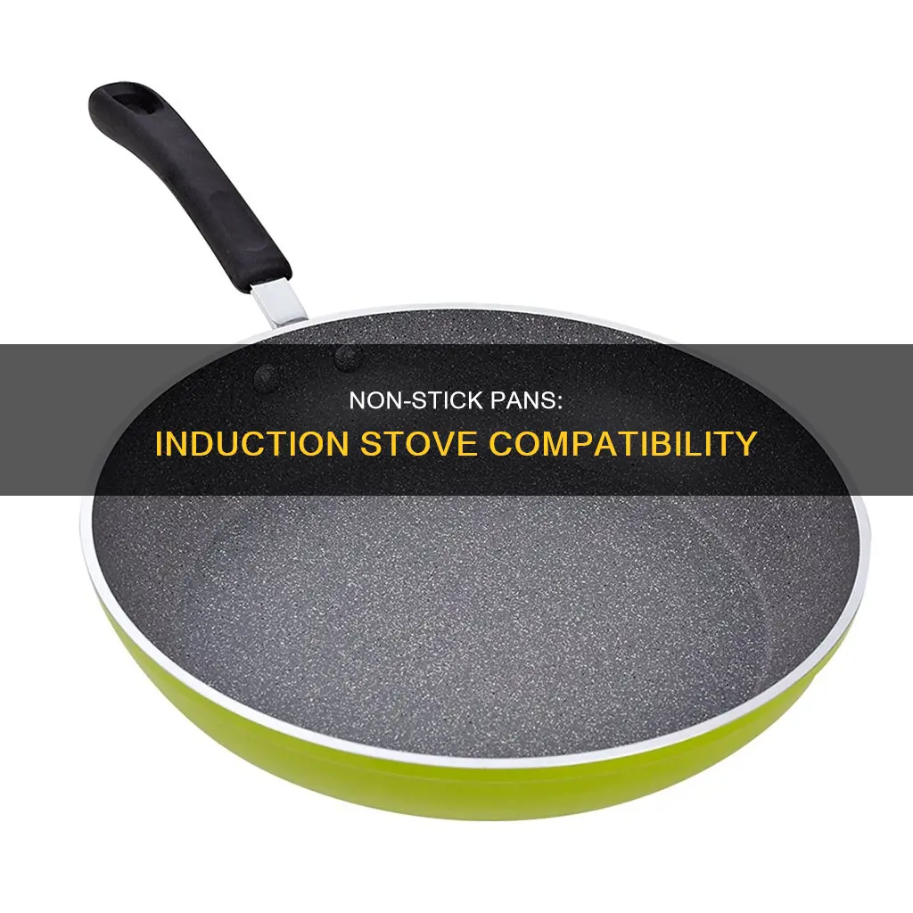 do non stick pan work on induction stove