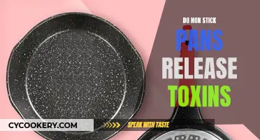 Non-Stick Pans: Are They Safe or Toxic?