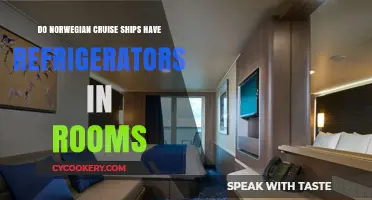 Norwegian Cruise Ships: Do Cabin Rooms Include Refrigerators?