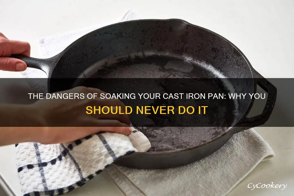 do not let cast iron pan soak in water