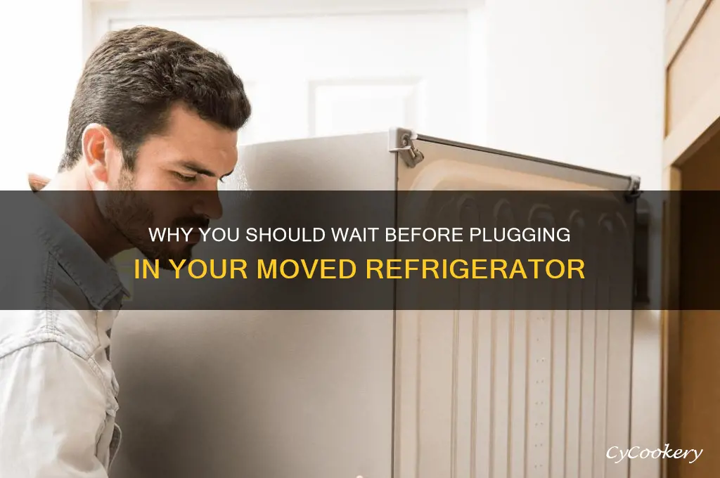 do not plug in refrigerator after moving