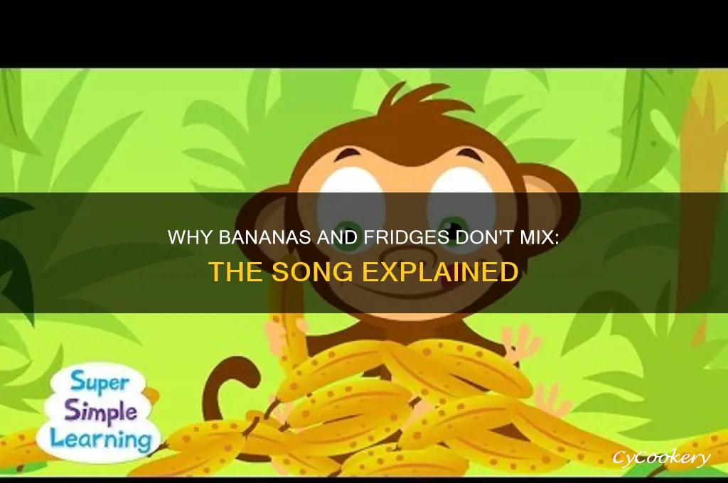 do not put bananas in the refrigerator song