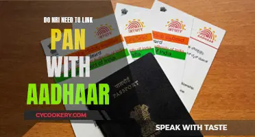 NRIs: Linking PAN and Aadhaar