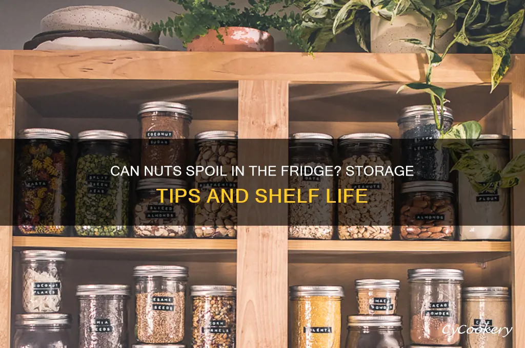do nuts go bad in the refrigerator