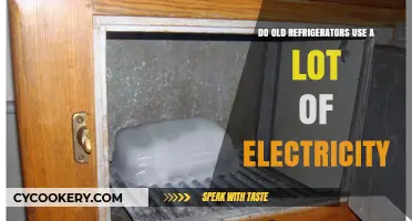 Old Refrigerators: High Energy Consumption and Costly Electricity Usage
