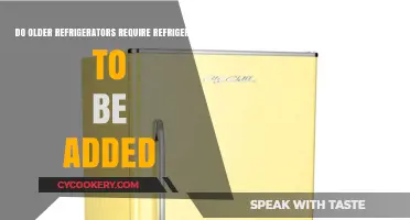 Do Older Refrigerators Need Refrigerant Added? A Comprehensive Guide