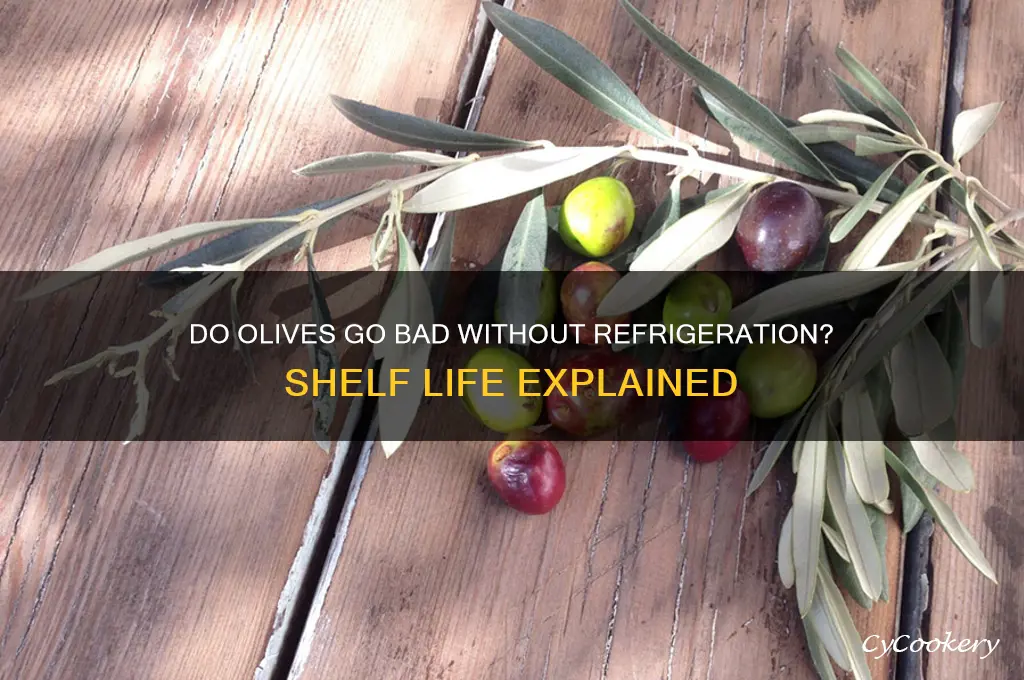 do olives go bad when not refrigerated
