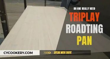 Triplay Roadting Pan: Essential or Excessive?