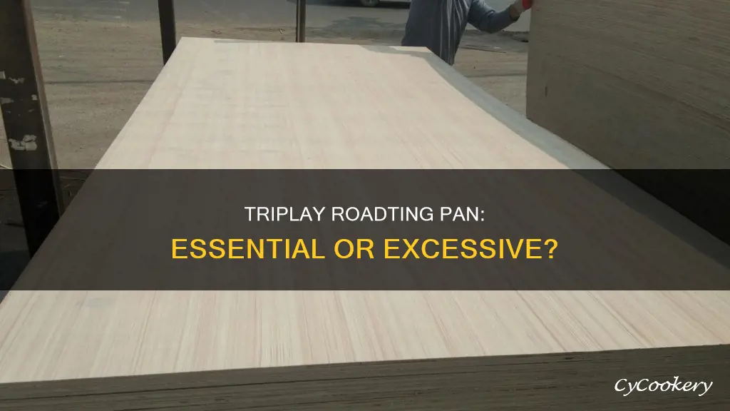 do one really need triplay roadting pan