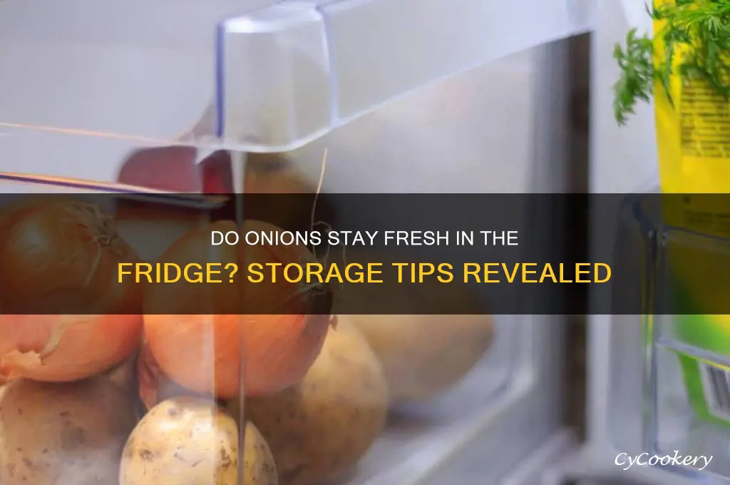 do onions stay fresh in the refrigerator