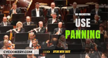 Do Orchestras Use Panning? Exploring Audio Techniques in Classical Music