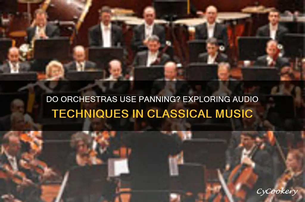 do orchestra use panning