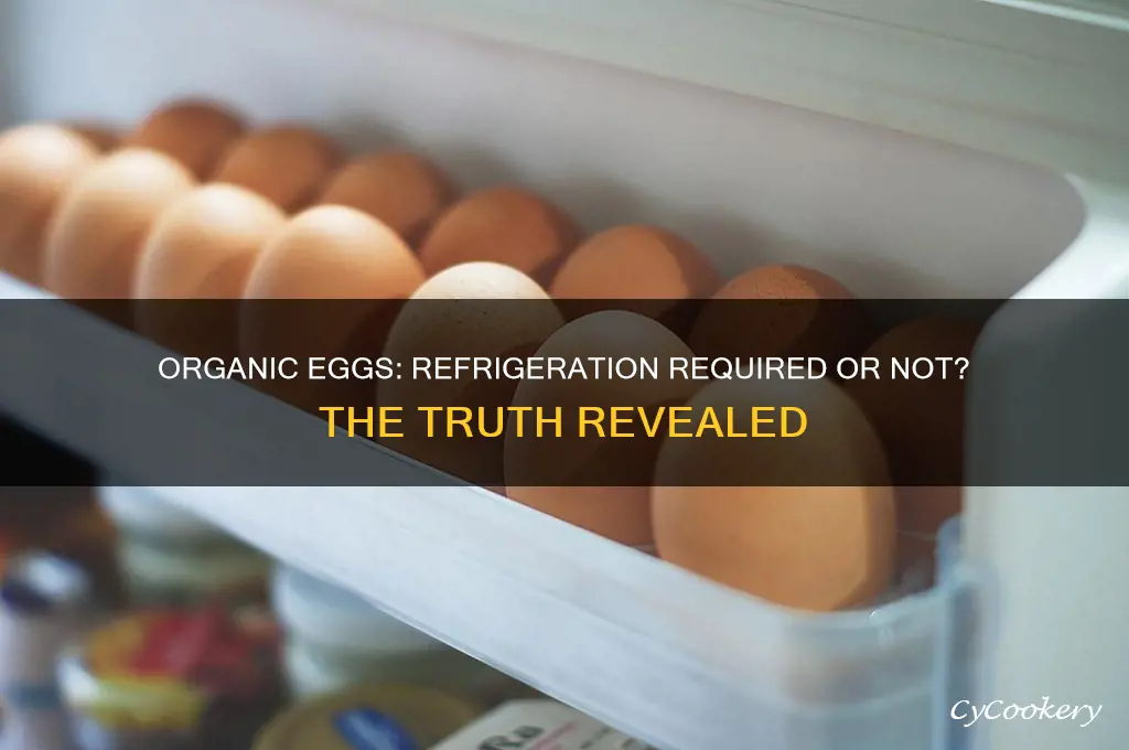 do organic eggs have to be refrigerated