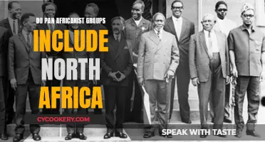 Pan-Africanism: Who's Included? North Africa's Place