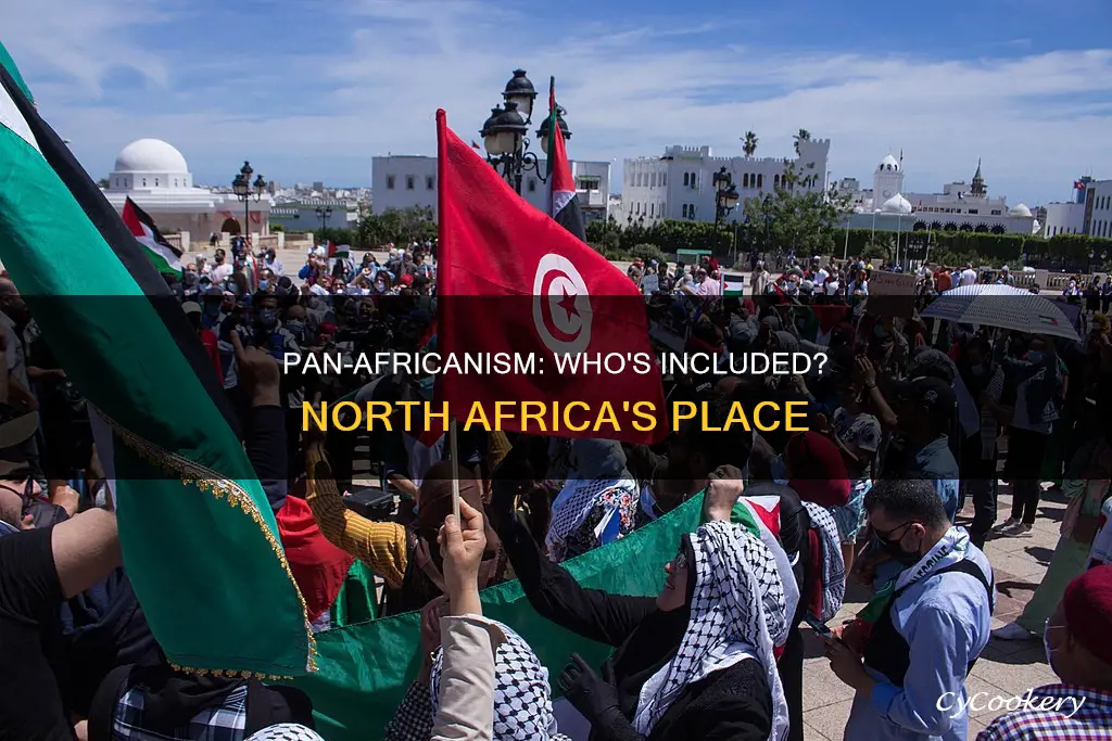 do pan africanist groups include north africa