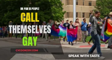 Understanding Pan and Bi Identities: Gay or Not?