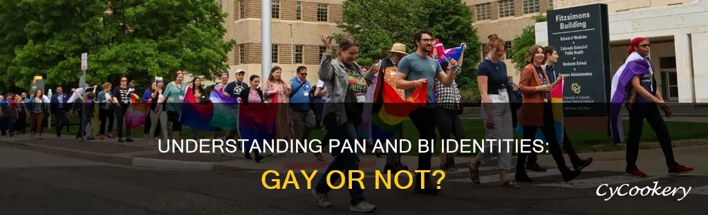 do pan bi people call themselves gay