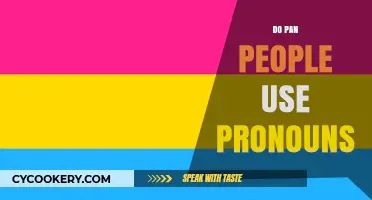 Understanding Pronoun Usage Among Pan People: A Comprehensive Exploration