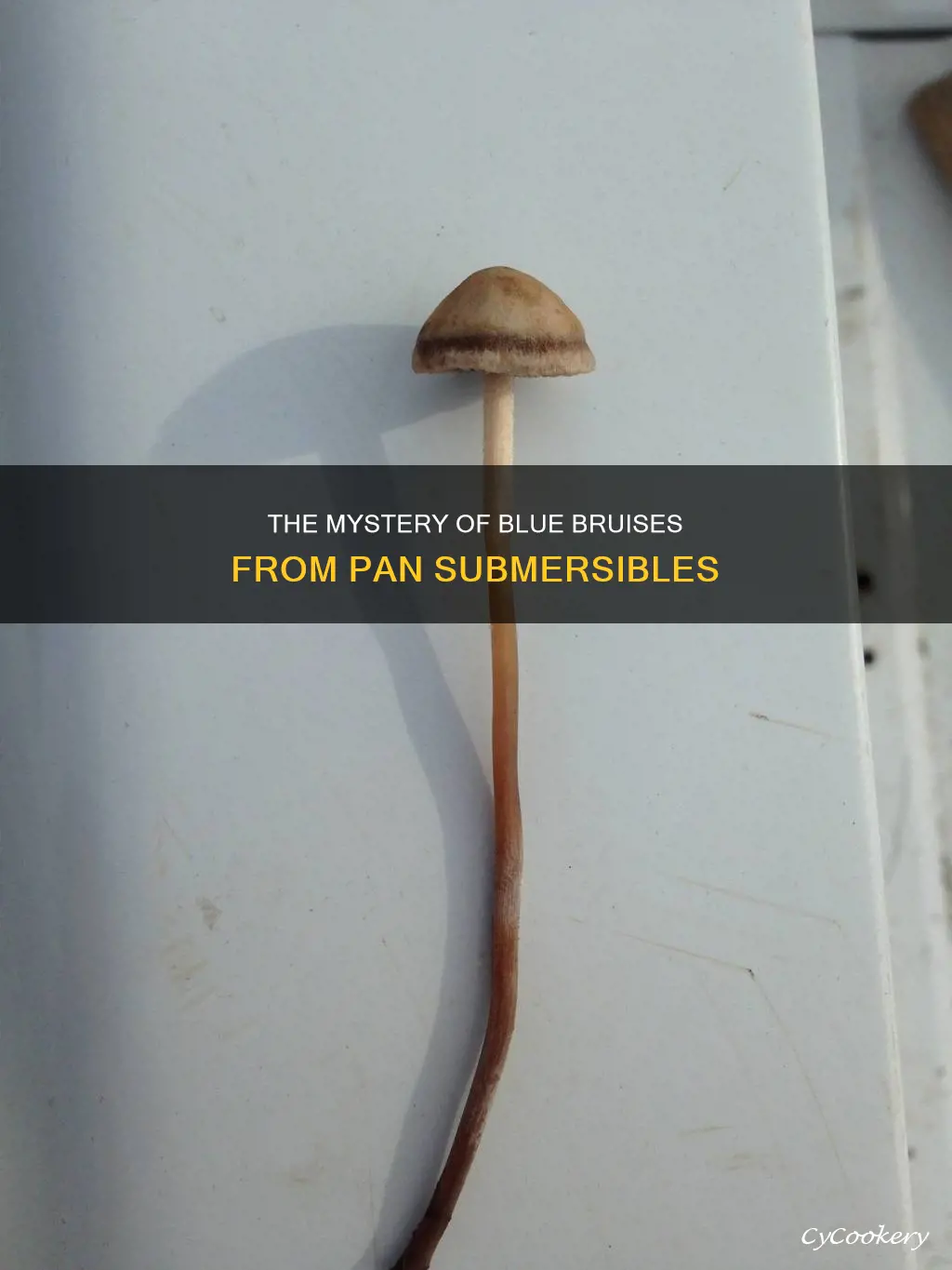 do pan subbs bruise blue