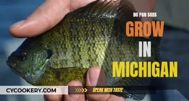 Where Do Pan Subs Grow in Michigan?