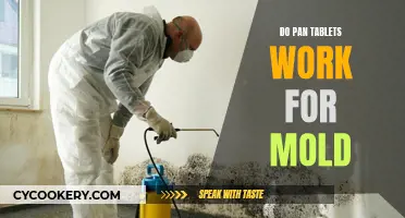 Effective Mold Treatment: Do Pan Tablets Work?
