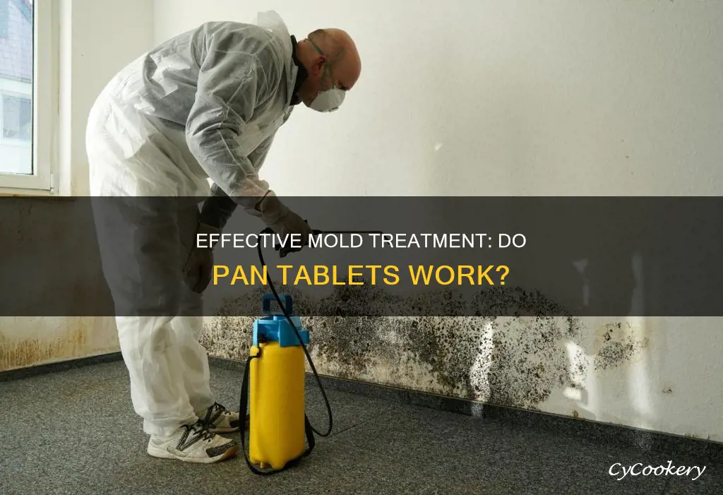 do pan tablets work for mold
