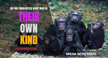 Troglodytes at War: Do Chimps Wage War on Their Own?