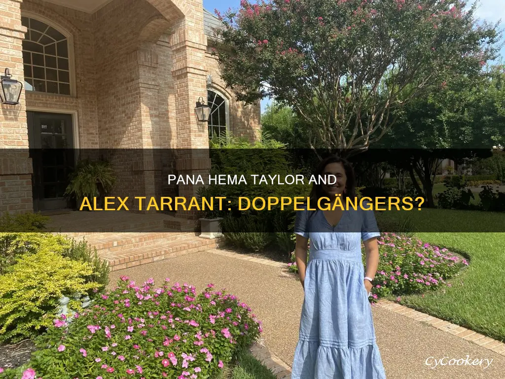do pana hema taylor & alex tarrant look alike