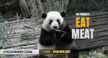 Pandas' Diet: Meat or Bamboo?