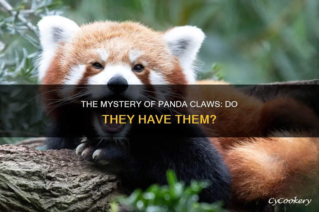 do panadas have claws